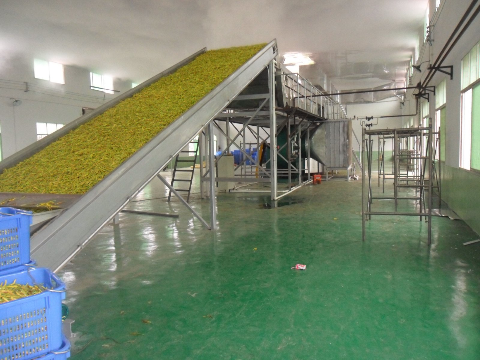 海藻（椰蓉）干燥生产线