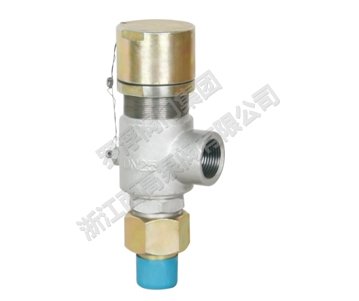 PN16～320 外螺纹连接弹簧封闭微启式安全阀