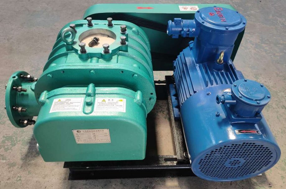 特殊气体专用罗茨鼓风机