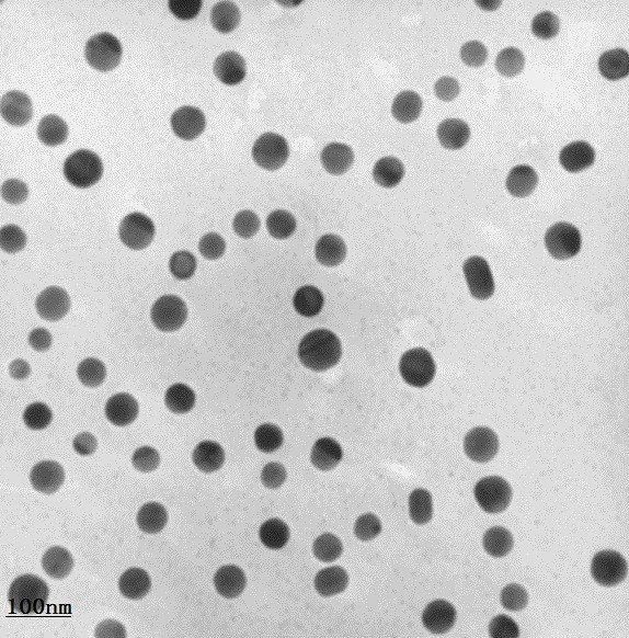 纳米氮化铝-水分散液