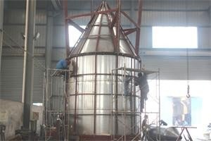 固体啤酒粉香精喷雾干燥机