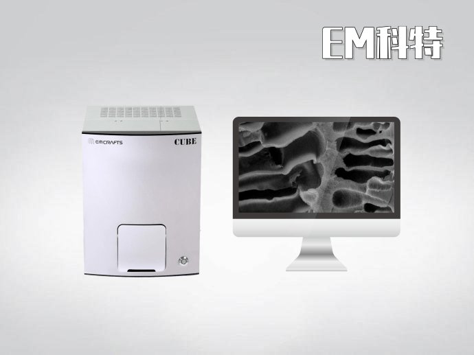 金属夹杂物扫描电镜