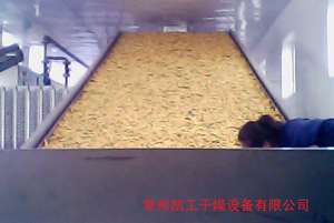 脱水蔬菜专用干燥机