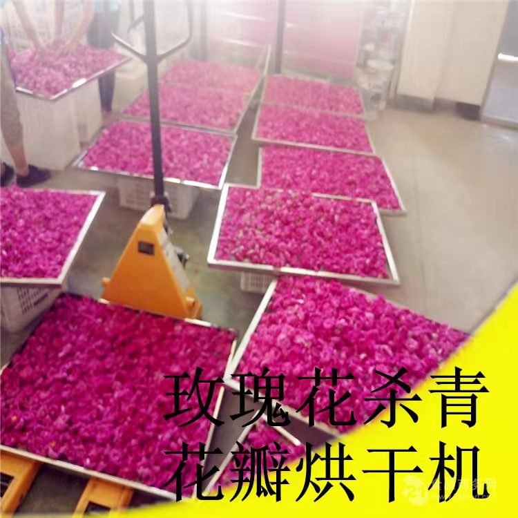 微波玫瑰花干燥杀菌设备