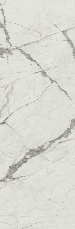 寒江雪 Milas White