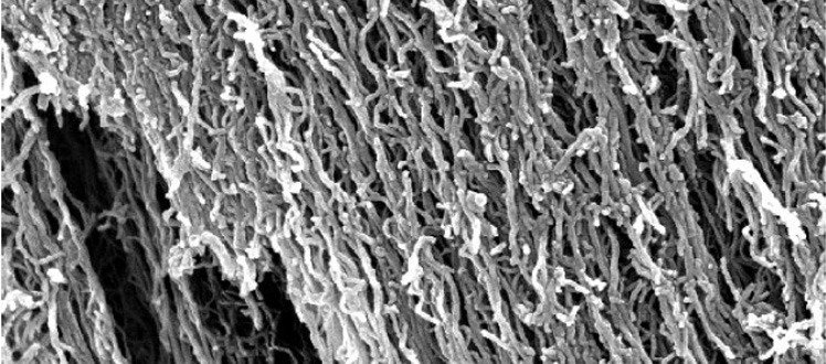 定向多壁碳纳米管JCAMT系列