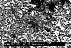 椰子壳活性炭粉