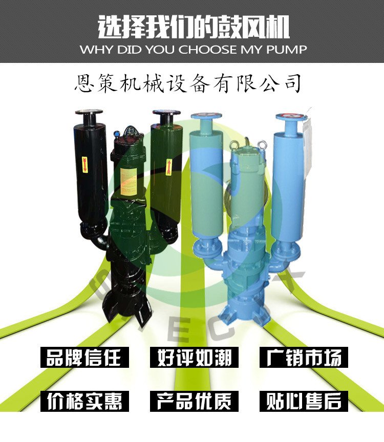 水处理沉水罗茨风机氧泵