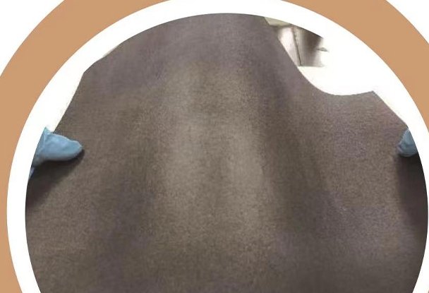 气体扩散层用碳纸