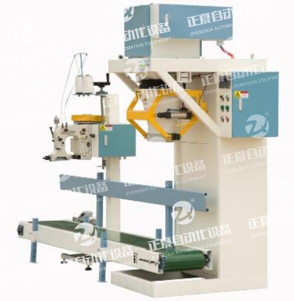 DCS-Z-W-50颗粒包装秤