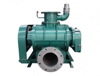 ZJYF型带溢流阀风冷式罗茨真空泵