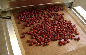 邦普大型微波大枣烘干设备