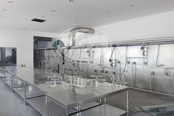 大白菜脱水蔬菜烘干机