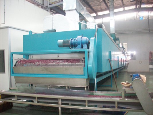 DWC系列脱水蔬菜带式干燥机