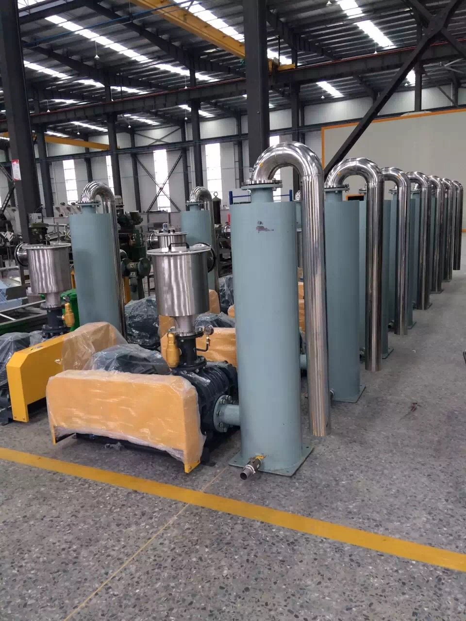 三叶鲁氏风机龙铁