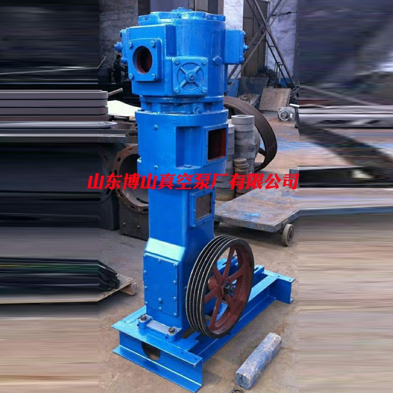 WLW立式无油往复真空泵