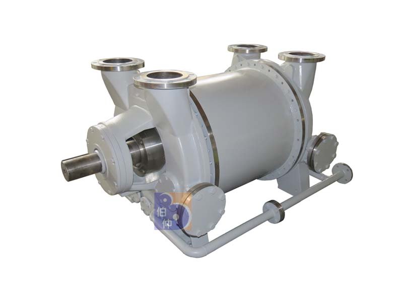 2BE1305液环真空泵