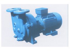 2BV系列水环式真空泵