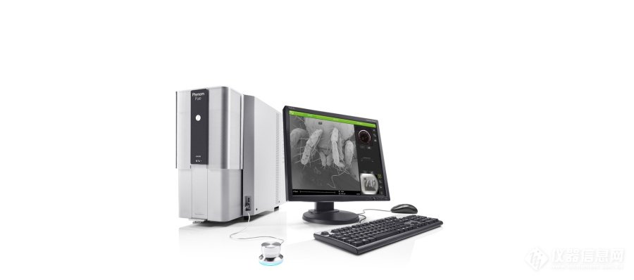 全自动扫描电镜