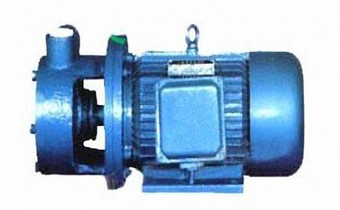 1W型单级旋涡泵