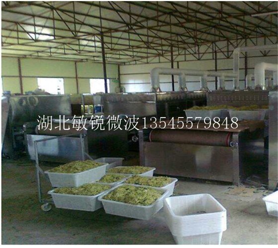 凯里茶叶微波杀青机