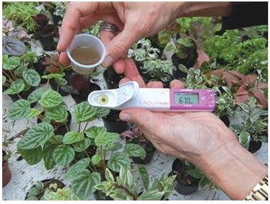 LAQUA手持式钾离子测量仪