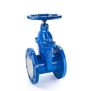 闸阀手动闸阀意大利弗雷西阀门