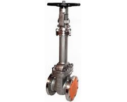 WZ40H-40 波纹管闸阀