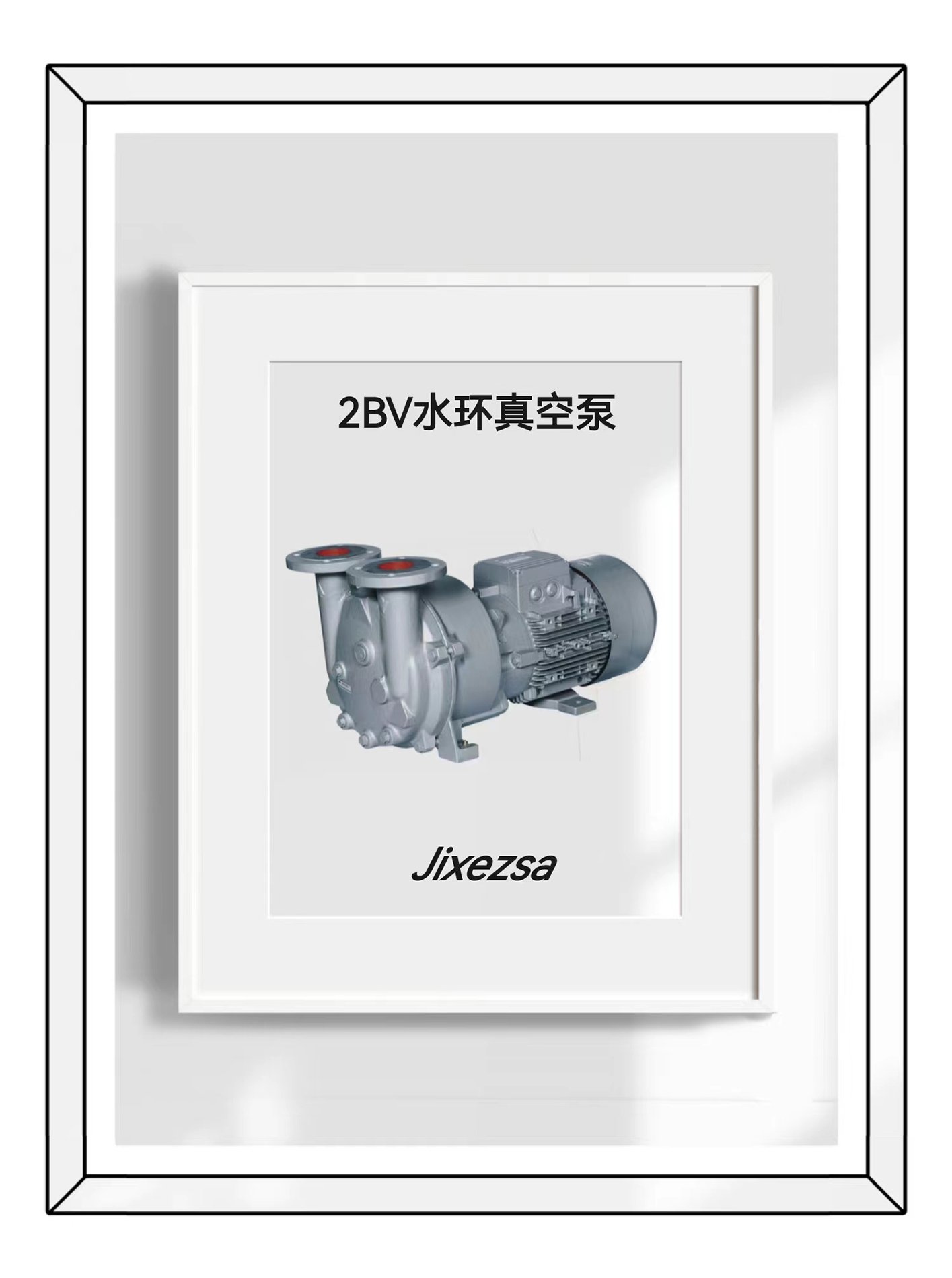 2BV水环真空泵