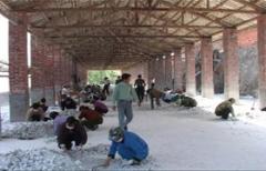 供应油漆涂料用硅灰石