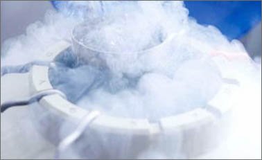 液氮冷冻低温粉碎机