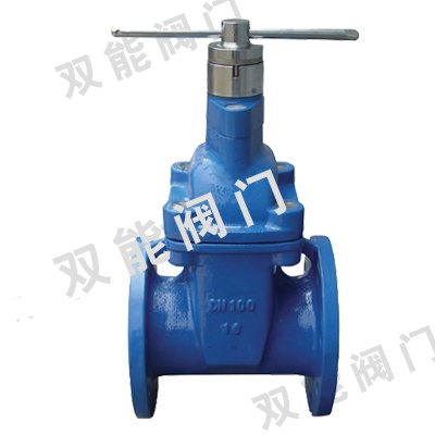 FDZ45X加密防盗软密封闸阀