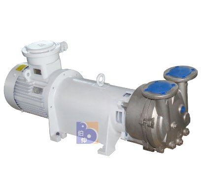 2BV6111水环真空泵