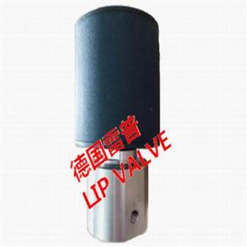 进口高温导热油电磁阀