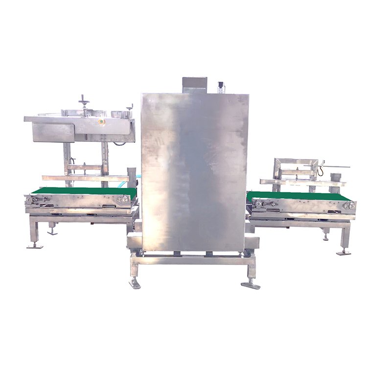 自动内抽小袋粉末真空包装机