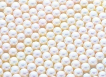 LFP正极材料粉碎用研磨球