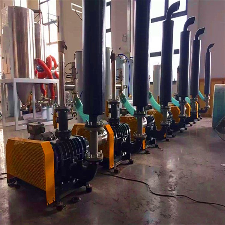 罗茨鼓风机 气体输送设备