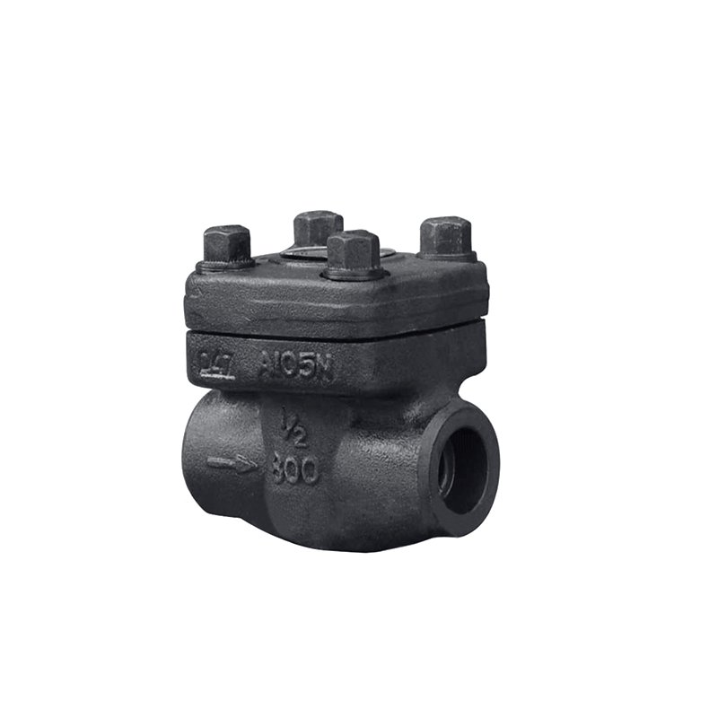 内螺纹与承插焊止回阀