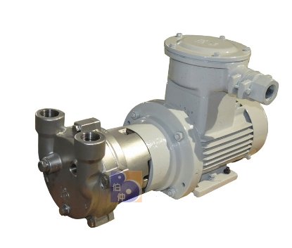 2BV2061-Ex液环真空泵