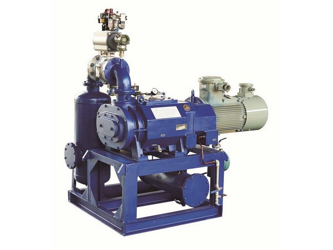 爪型干式无油真空泵