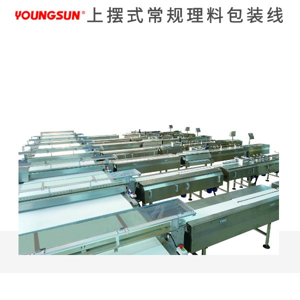 上摆式常规理料包装线