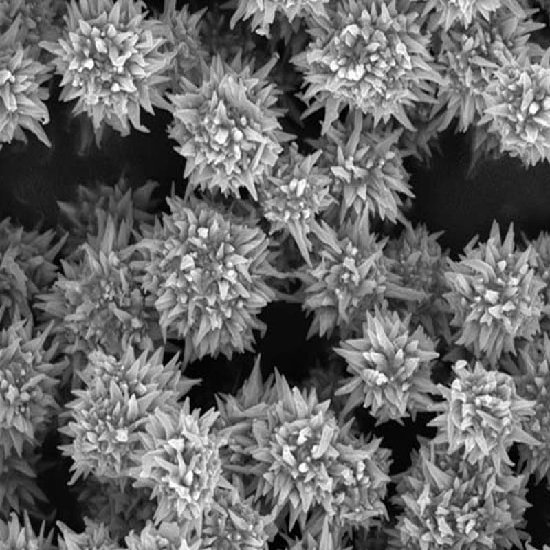 镍粉（球型 片状 纳米线 刺球型均可提供）