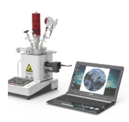 高温高压可视反应釜