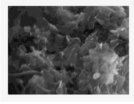 极细结构等静压石墨