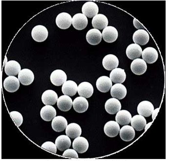 链酶亲和素修饰荧光微粒