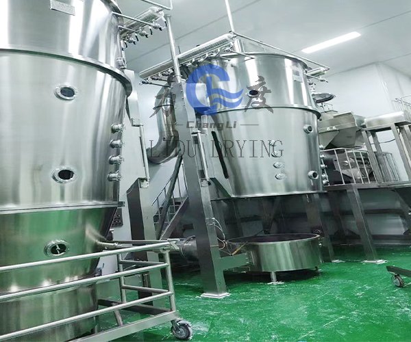 大蒜粉一步制粒机