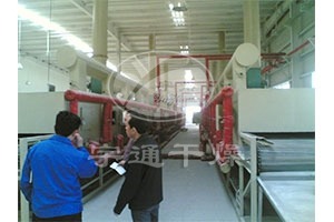 南瓜脱水蔬菜烘干机