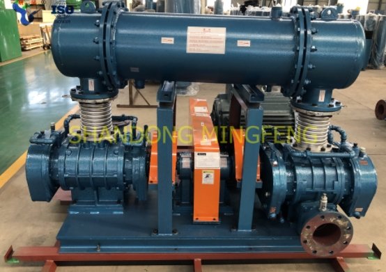 MFSR-200-1型三叶罗茨风机