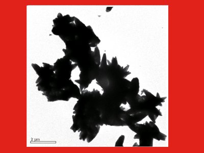 工业级轻质碳酸钙YX-501