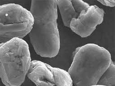 **石墨 Formular BT ABG1010导电剂